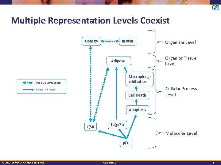 Multiple Representation Levels Coexist Insulin Obesity Organism Level Organ or Tissue Level Adipose Macrophage