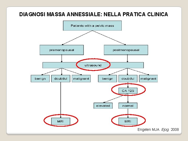 DIAGNOSI MASSA ANNESSIALE: NELLA PRATICA CLINICA Engelen MJA Ejog 2008 