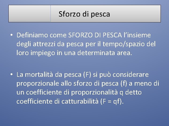 Sforzo di pesca • Definiamo come SFORZO DI PESCA l’insieme degli attrezzi da pesca