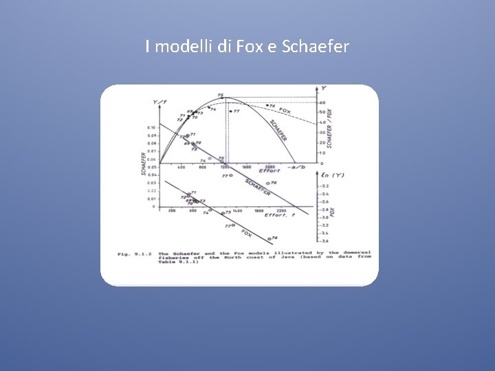 I modelli di Fox e Schaefer 