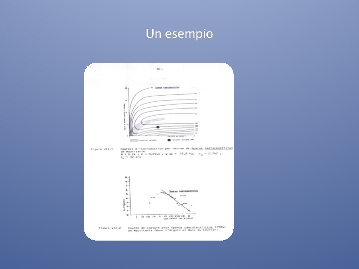 Un esempio 