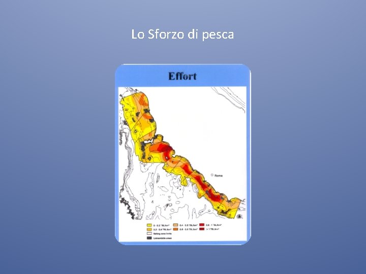 Lo Sforzo di pesca 