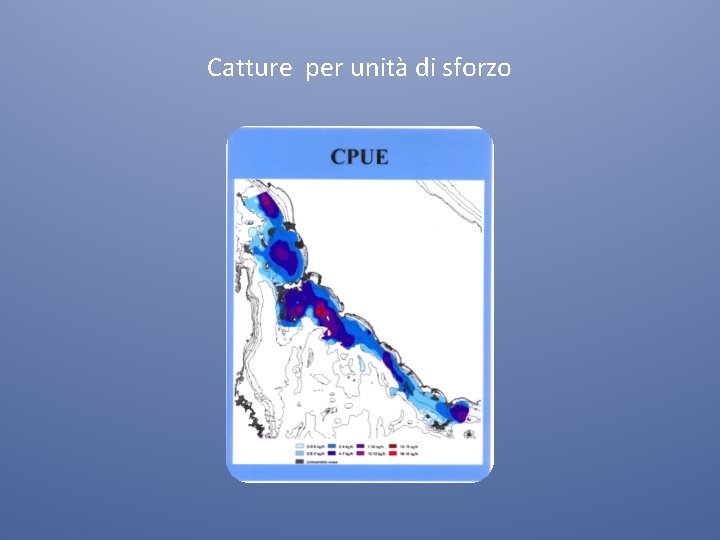 Catture per unità di sforzo 