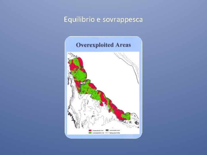 Equilibrio e sovrappesca 