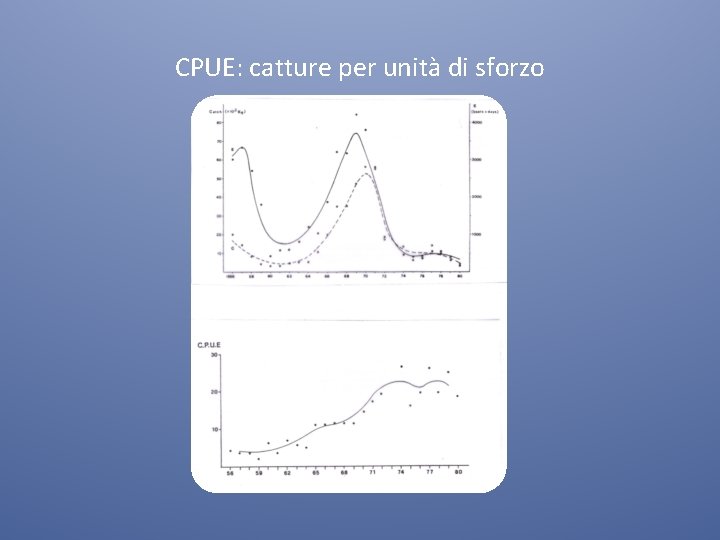 CPUE: catture per unità di sforzo 