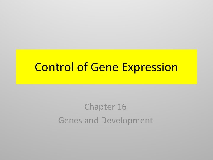 Control of Gene Expression Chapter 16 Genes and Development 