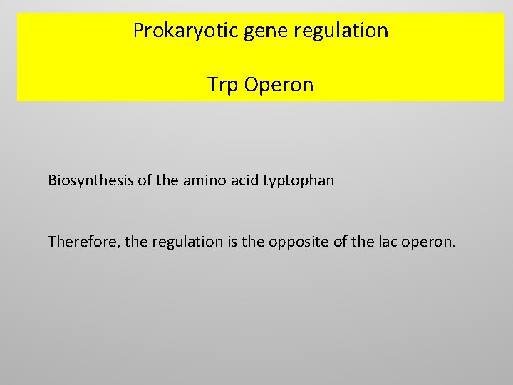 Prokaryotic gene regulation Trp Operon Biosynthesis of the amino acid typtophan Therefore, the regulation