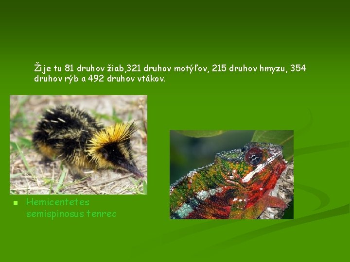 Žije tu 81 druhov žiab, 321 druhov motýľov, 215 druhov hmyzu, 354 druhov rýb