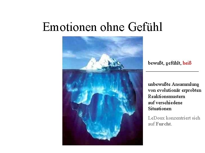 Emotionen ohne Gefühl bewußt, gefühlt, heiß unbewußte Ansammlung von evolutionär erprobten Reaktionsmustern auf verschiedene