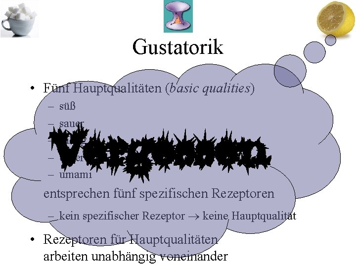 Gustatorik • Fünf Hauptqualitäten (basic qualities) – – – süß sauer salzig bitter umami