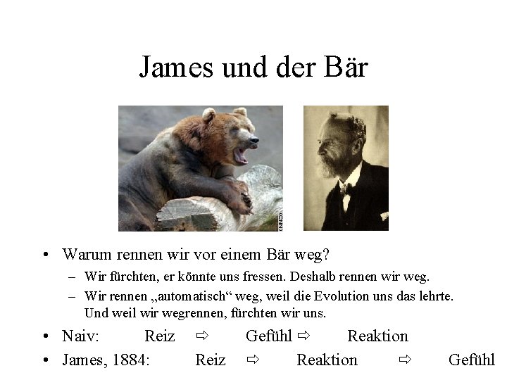 James und der Bär • Warum rennen wir vor einem Bär weg? – Wir