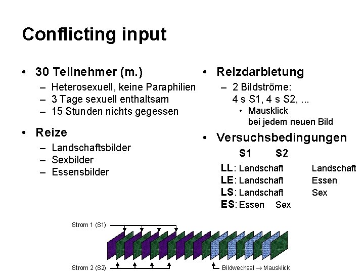 Conflicting input • 30 Teilnehmer (m. ) – Heterosexuell, keine Paraphilien – 3 Tage
