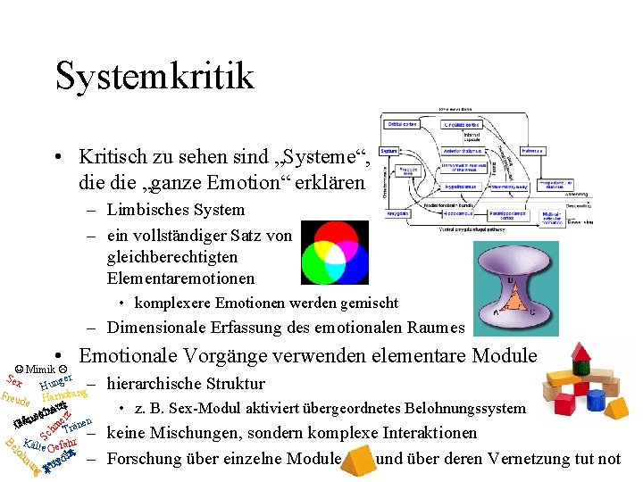 Systemkritik • Kritisch zu sehen sind „Systeme“, die „ganze Emotion“ erklären – Limbisches System