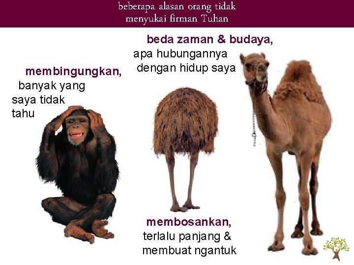 beberapa alasan orang tidak menyukai firman Tuhan beda zaman & budaya, apa hubungannya membingungkan, beberapa alasan orang tidak menyukai firman Tuhan beda zaman & budaya, apa hubungannya membingungkan,
