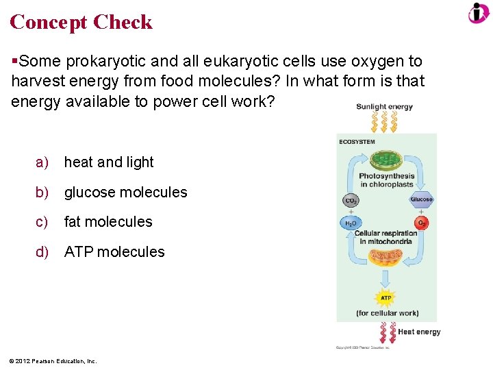 Concept Check Some prokaryotic and all eukaryotic cells use oxygen to harvest energy from
