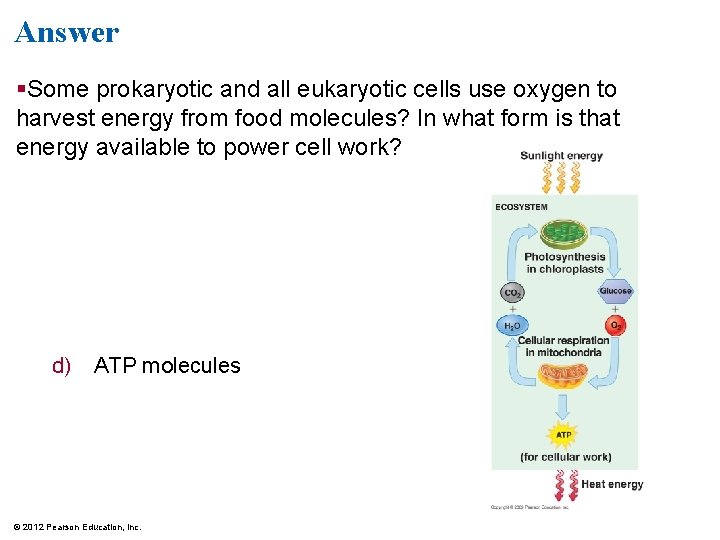 Answer Some prokaryotic and all eukaryotic cells use oxygen to harvest energy from food