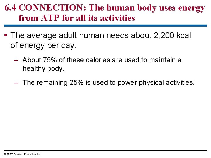 6. 4 CONNECTION: The human body uses energy from ATP for all its activities