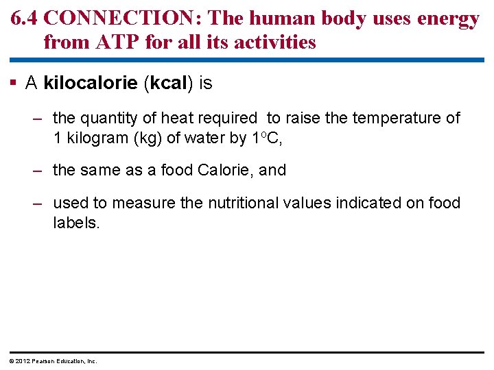 6. 4 CONNECTION: The human body uses energy from ATP for all its activities