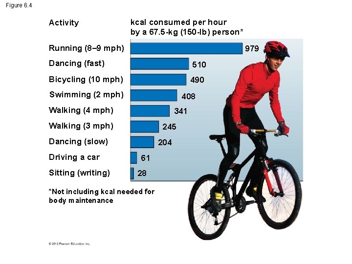 Figure 6. 4 Activity kcal consumed per hour by a 67. 5 -kg (150