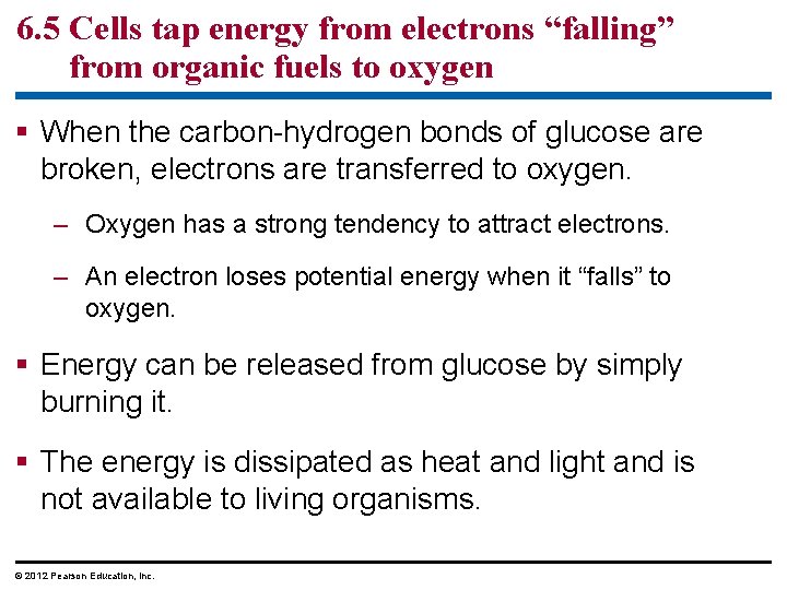 6. 5 Cells tap energy from electrons “falling” from organic fuels to oxygen When