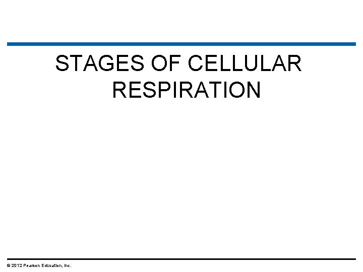 STAGES OF CELLULAR RESPIRATION © 2012 Pearson Education, Inc. 