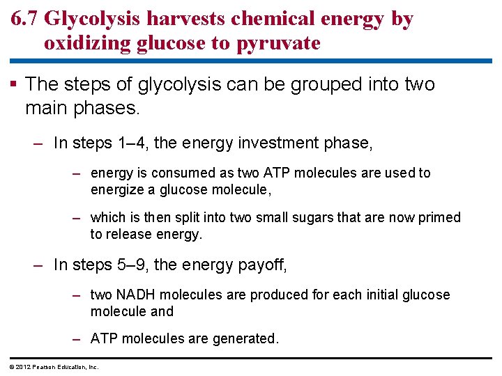6. 7 Glycolysis harvests chemical energy by oxidizing glucose to pyruvate The steps of