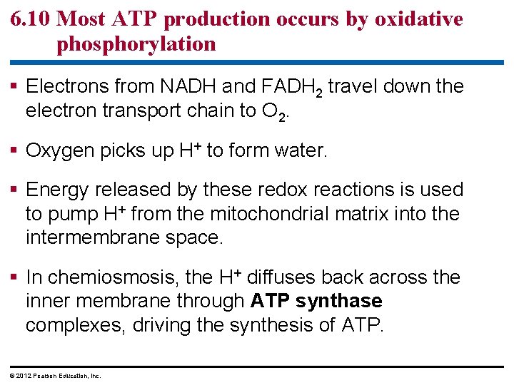 6. 10 Most ATP production occurs by oxidative phosphorylation Electrons from NADH and FADH