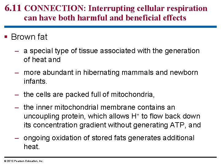 6. 11 CONNECTION: Interrupting cellular respiration can have both harmful and beneficial effects Brown