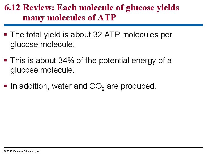 6. 12 Review: Each molecule of glucose yields many molecules of ATP The total