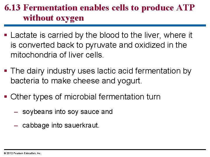 6. 13 Fermentation enables cells to produce ATP without oxygen Lactate is carried by