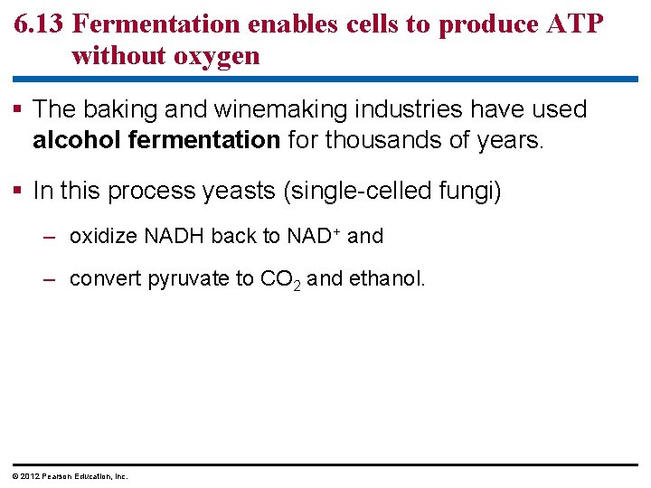 6. 13 Fermentation enables cells to produce ATP without oxygen The baking and winemaking