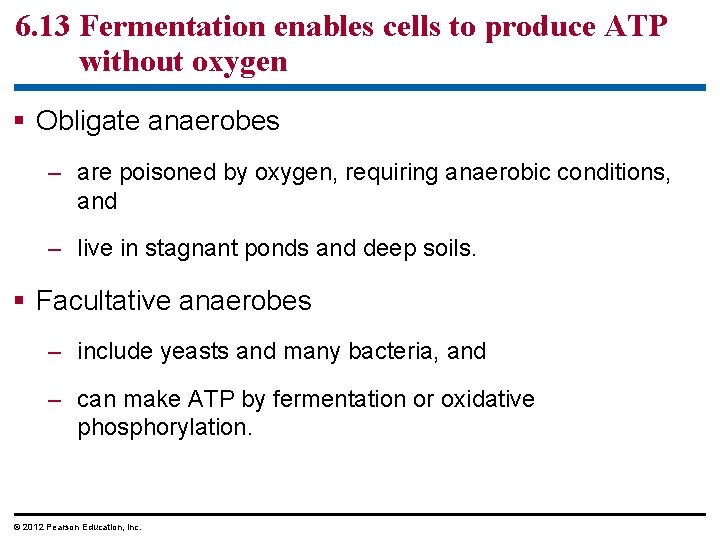 6. 13 Fermentation enables cells to produce ATP without oxygen Obligate anaerobes – are