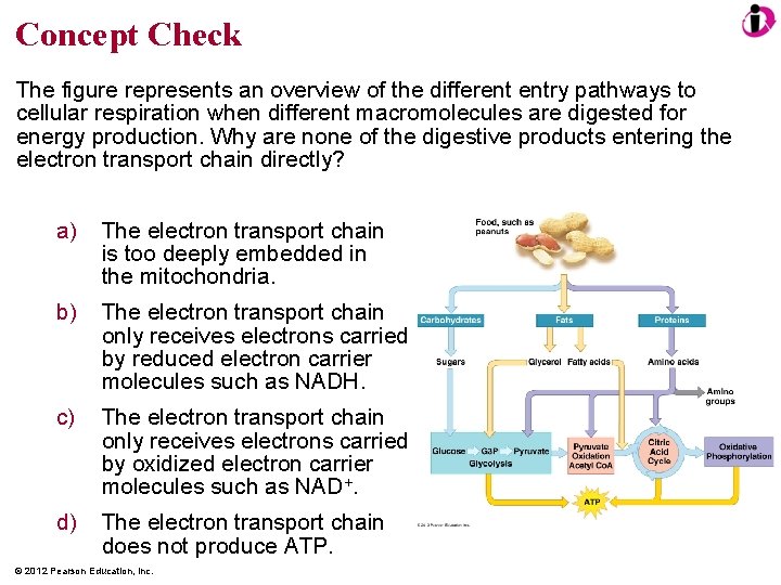 Concept Check The figure represents an overview of the different entry pathways to cellular