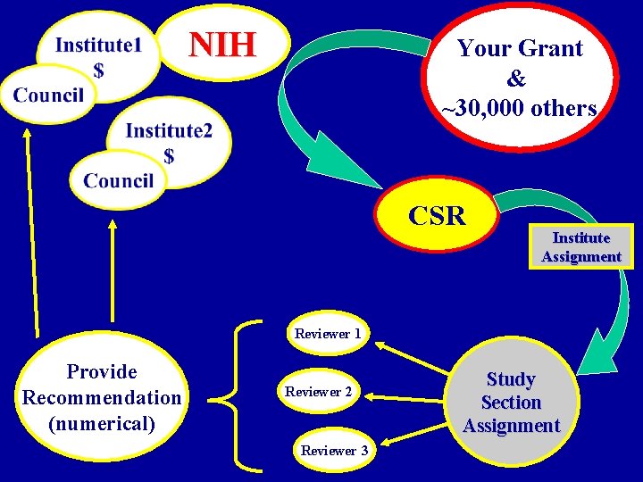 NIH Your Grant & ~30, 000 others CSR Institute Assignment Reviewer 1 Provide Recommendation