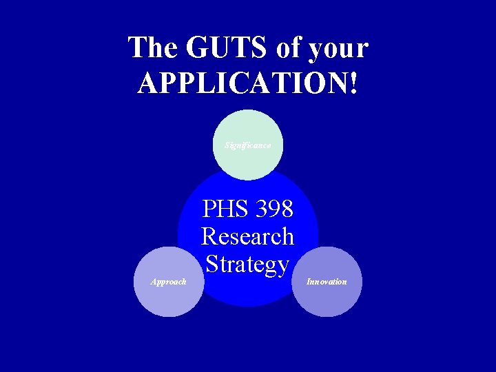 The GUTS of your APPLICATION! Significance Approach PHS 398 Research Strategy Innovation 