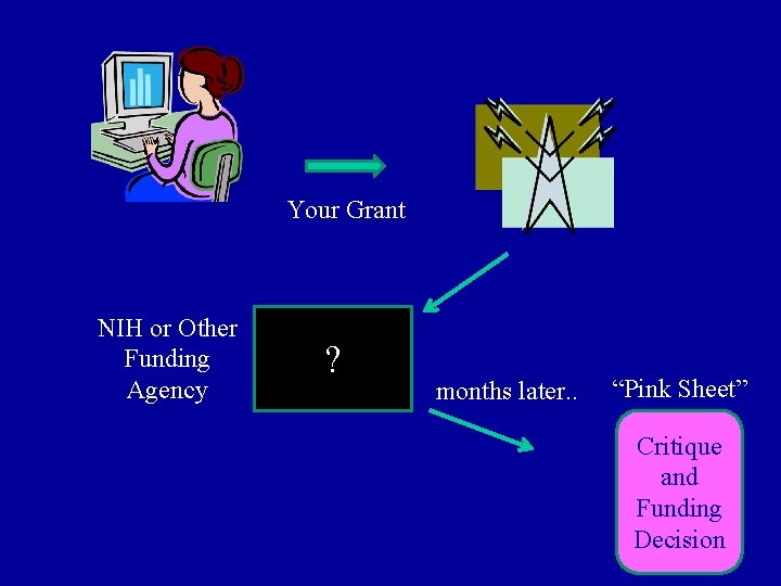 Your Grant NIH or Other Funding Agency ? months later. . “Pink Sheet” Critique