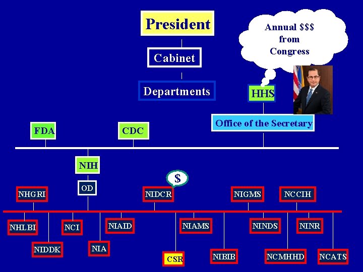 President Annual $$$ from Congress Cabinet Departments FDA HHS Office of the Secretary CDC