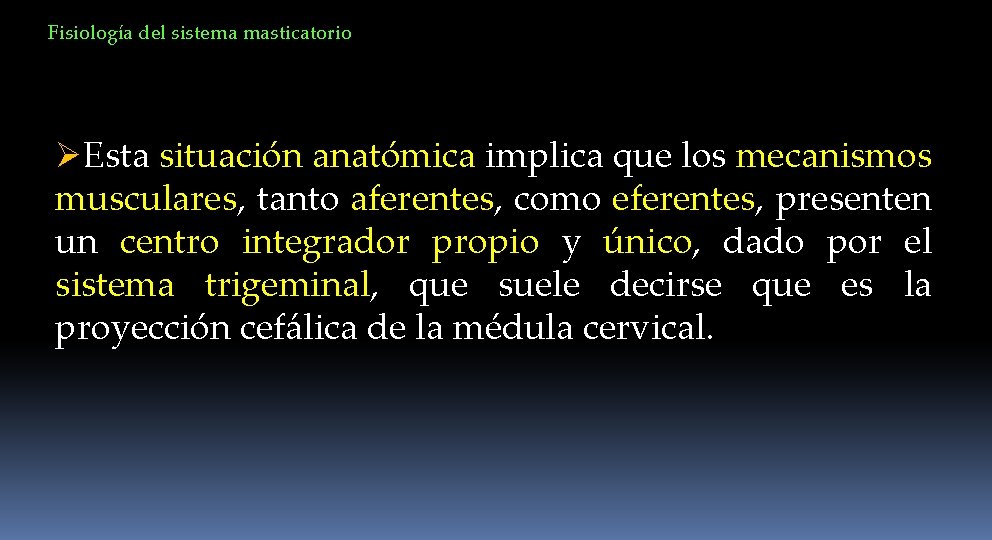Fisiología del sistema masticatorio ØEsta situación anatómica implica que los mecanismos musculares, tanto aferentes,