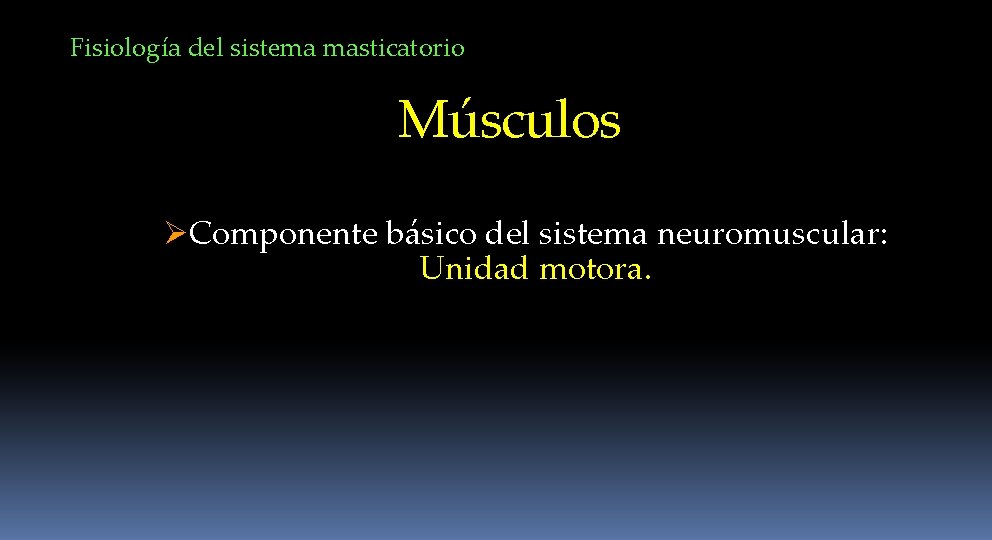 Fisiología del sistema masticatorio Músculos ØComponente básico del sistema neuromuscular: Unidad motora. 