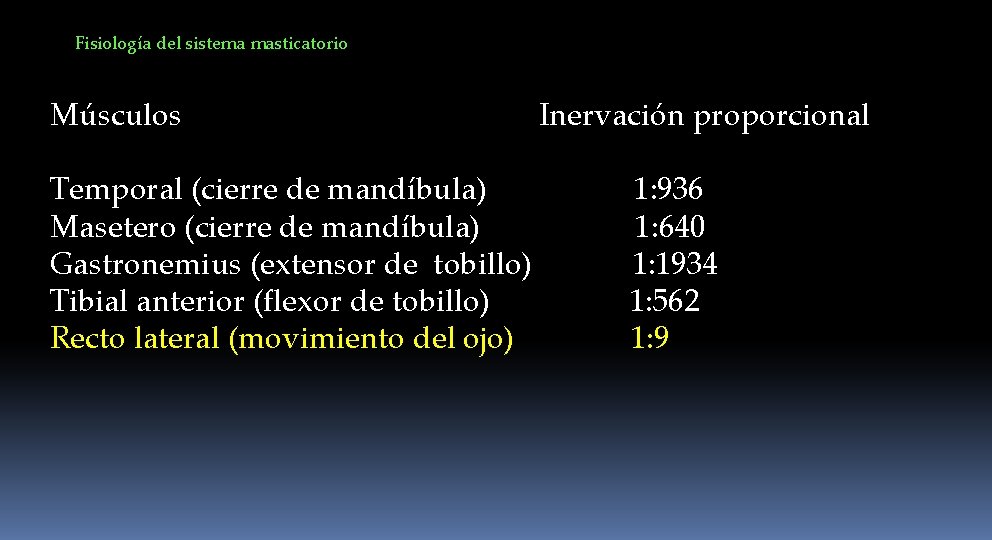 Fisiología del sistema masticatorio Músculos Temporal (cierre de mandíbula) Masetero (cierre de mandíbula) Gastronemius