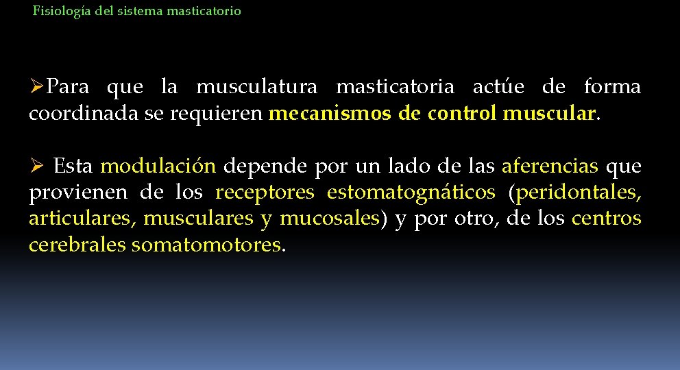 Fisiología del sistema masticatorio ØPara que la musculatura masticatoria actúe de forma coordinada se