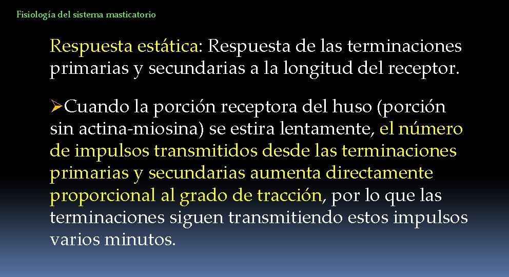 Fisiología del sistema masticatorio Respuesta estática: Respuesta de las terminaciones primarias y secundarias a
