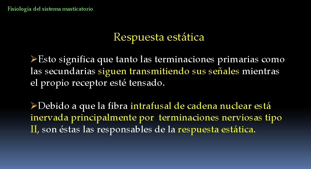 Fisiología del sistema masticatorio Respuesta estática ØEsto significa que tanto las terminaciones primarias como