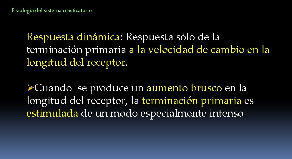 Fisiología del sistema masticatorio Respuesta dinámica: Respuesta sólo de la terminación primaria a la