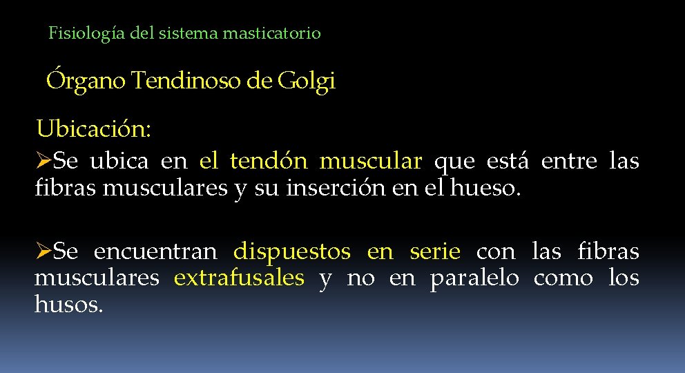Fisiología del sistema masticatorio Órgano Tendinoso de Golgi Ubicación: ØSe ubica en el tendón