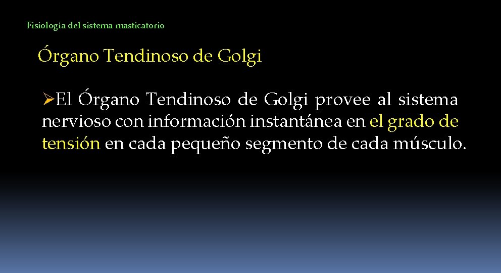 Fisiología del sistema masticatorio Órgano Tendinoso de Golgi ØEl Órgano Tendinoso de Golgi provee