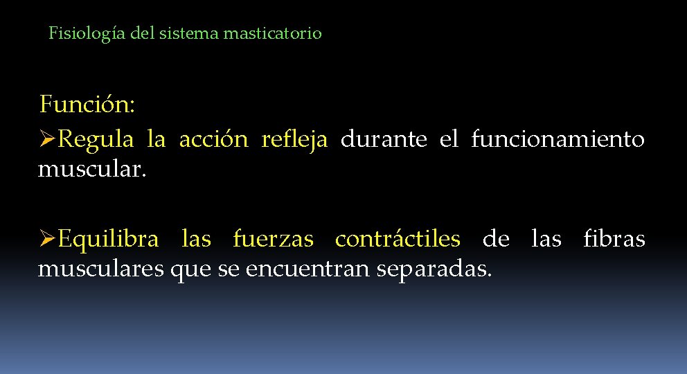 Fisiología del sistema masticatorio Función: ØRegula la acción refleja durante el funcionamiento muscular. ØEquilibra