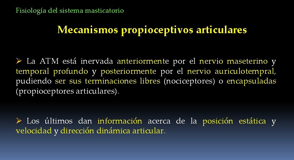 Fisiología del sistema masticatorio Mecanismos propioceptivos articulares Ø La ATM está inervada anteriormente por