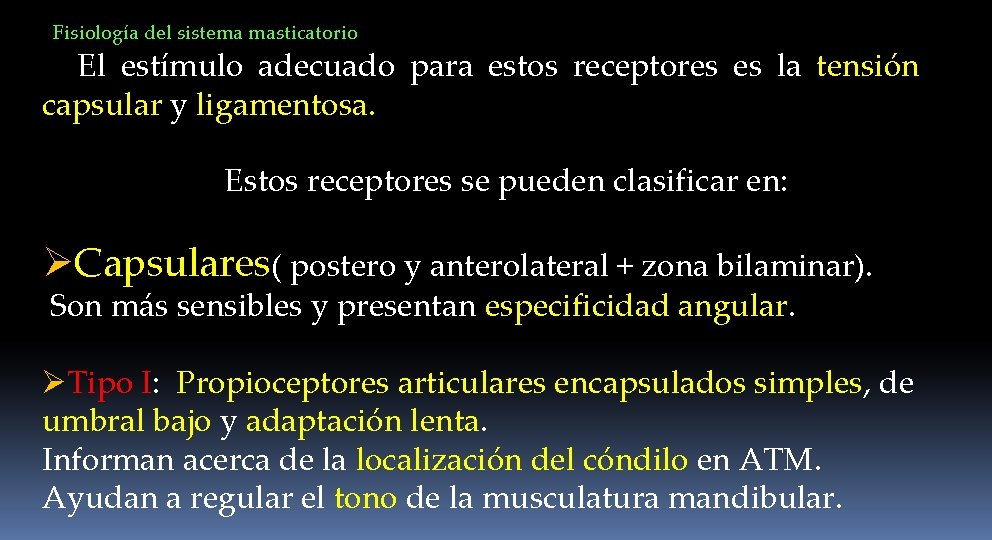 Fisiología del sistema masticatorio El estímulo adecuado para estos receptores es la tensión capsular