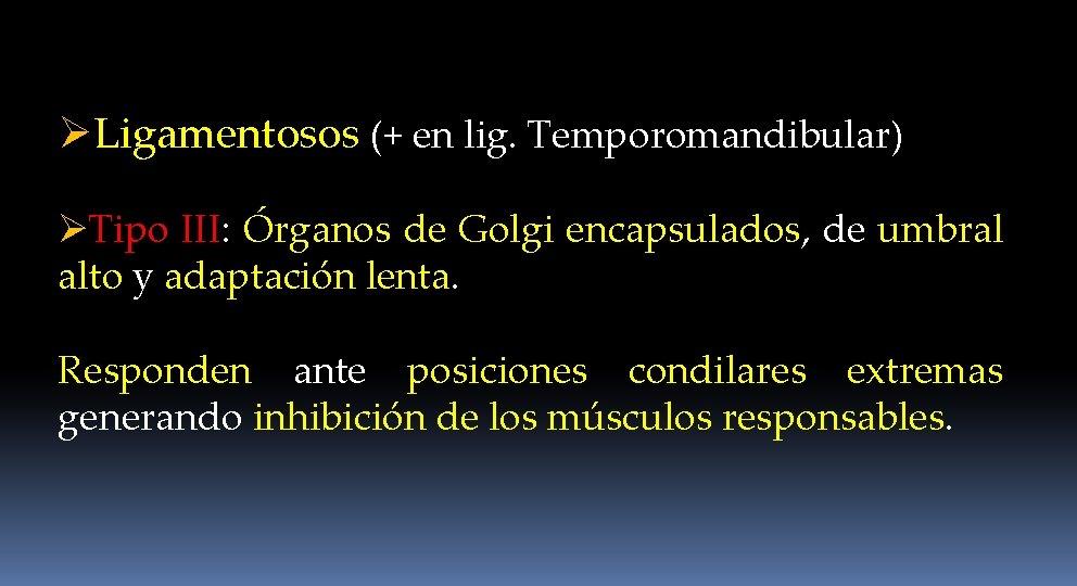 ØLigamentosos (+ en lig. Temporomandibular) ØTipo III: Órganos de Golgi encapsulados, de umbral alto